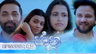 Jaanu  Episode 445  20241107  ITN [upl. by Eaton]