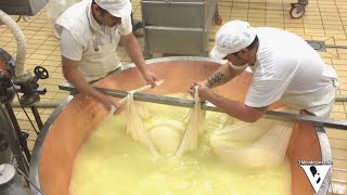 Il Parmigiano Reggiano Consorzio Vacche Rosse storia tradizione eccellenza [upl. by Smoht]