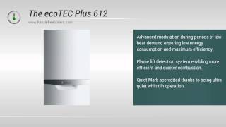 Vaillant 612 Plus ecoTEC 12kw System Boiler Review and Information [upl. by Derf214]