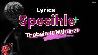 Sphesihle Lyrics Thabise Ft Mthunzi [upl. by Ayana237]