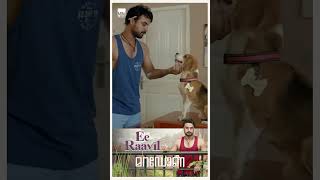 Maradona  Ee Raavil Video Song  Tovino Thomas  Vishnu Narayan  Nezer  Mini Music  shorts [upl. by Ayamahs620]