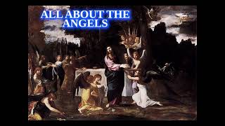 All About the Angels by Fr Paul OSullivan Catholic Audiobook [upl. by Aicetal]