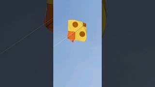 Beautiful Kite Patang Flying With Thread [upl. by Maxama]