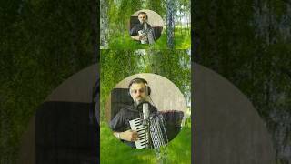 Rezerwa 5 wojsko akordeon polish rezerwa accordionmusic bossmusic short [upl. by Neiht237]