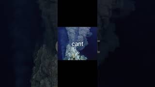 Hydrothermal vents [upl. by Ahsila594]