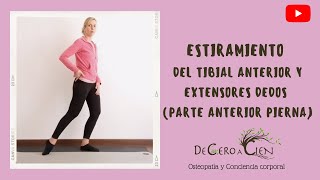 Estiramiento del tibial anterior y extensores de los dedos del pie parte anterior de la pierna [upl. by Athalee]