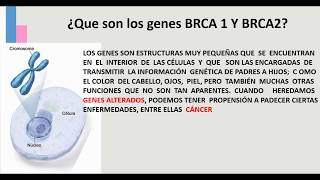 GENES BRCA 1 Y BRCA 2 [upl. by Cynde859]