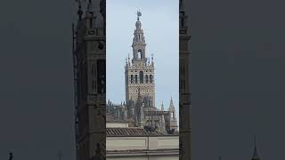 Campanas de La Giralda Catedral de Sevilla viralvideo foryou bells parati viraltiktok yt [upl. by Faline370]