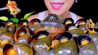 ASMR MUKBANG GIANT STEAMED APPLE SNAILS WITH LEMONGRASS AND GREEN PEPPER [upl. by Retniw52]