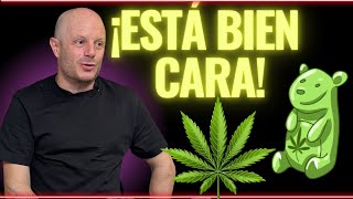 FACUNDO REVELA cuánto le cuesta la marihuana que se fuma [upl. by Sayed]