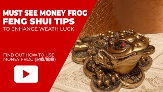 Feng Shui Tips to Place Three Legged Money Frog to Enhance Your Wealth Luck [upl. by Sinnel926]