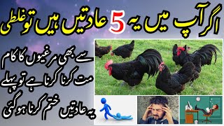 How to become a Successful poultry farm [upl. by Ashatan]