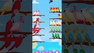 Bird shot color puzzle Trailer birds gamingtrendingsonglove birdsortcolor viral [upl. by Ayaj]