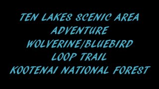 Ten Lakes Scenic Area Adventure WolverineBluebird Loop Kootenai National Forest [upl. by Akiemat]