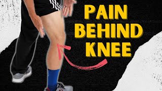 Why Your Knee Hurts Knee Pain Types By Location amp Description [upl. by Cut750]