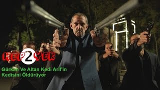 Hep Yek 2  Gürkan Ve Altan Kedi Arifin Kedisini Öldürüyor [upl. by Gipson]