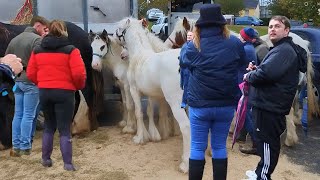 Enter at your own Risk Ballinasloe Horse Fair [upl. by Tan524]