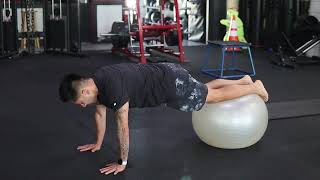 Stability Ball Front Plank w Hip Flexion [upl. by Padegs588]