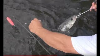 How to Use a Barbless Circle Hook and Dehooker Tool for Catch and Release [upl. by Ahseekat]