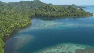 Wild New Britain Papua New Guinea [upl. by Annaliese]