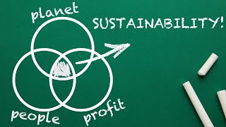 What is SUSTAINABILITY Explained By An Expert [upl. by Yznyl]