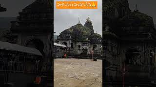 ఓం నమః శివాయ🙏 triambakeshwar jyotirling darshan karthikamasam 2024 narenvlogs7394 [upl. by Prissy527]