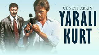 Yaralı Kurt Türk Filmi  FULL  CÜNEYT ARKIN  AHMET MEKİN [upl. by Acirea]