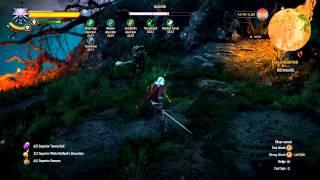 Witcher 3  Deathmarch Imlerith  Heavy Offence Balanced Wolf Style [upl. by Eednarb]