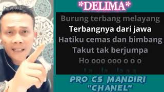 DELIMAKaraoke Duet Tanpa Vocal Cewek [upl. by Enoryt]