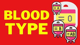 Blood Types Physiology ABO and Rh Blood Groups [upl. by Silvanus460]