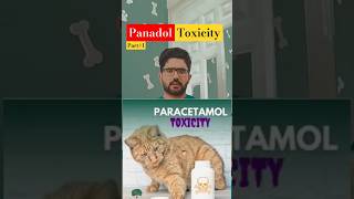 Toxicity in cats Part1 cat petcare catlover shorts short ytshorts [upl. by Akemrehs700]