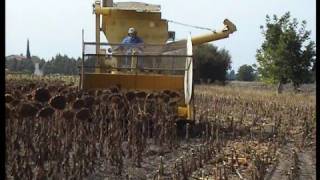 the old timer farmer and is old vintage combine harvesting [upl. by Arymahs154]