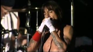 Red Hot Chili Peppers  Parallel Universe  Live Japan 2004 [upl. by Carrew271]