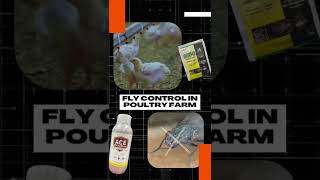 MoltX Larvicide and Aceplus Adulticide Insecticide FLY Control [upl. by Sorkin]