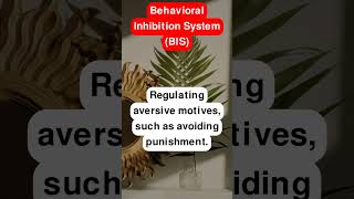 Behavioral Inhibition System BIS [upl. by Eneiluj]