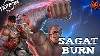 Sagat Burn Ryu Denjin Renki Deck Tech amp GamesTeppen [upl. by Blisse]