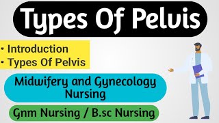 Types Of Pelvis  Midwifery And Gynecology Nursing  Nursing Notes [upl. by Loesceke]