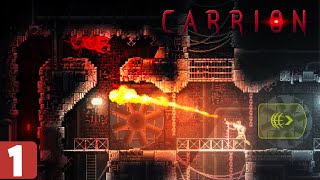 Carrion Mobile Demo  Gameplay Android [upl. by Lerej]