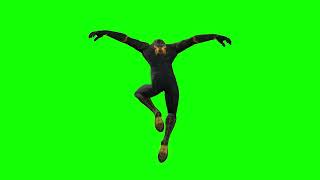 Black Spiderman Green Screen [upl. by Meara]