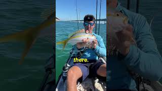 Kayak Fishing the Seven Mile Bridge [upl. by Arocahs]