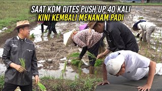 SAAT KDM DITES PUSH UP 40 KALI  KINI KEMBALI MENANAM PADI [upl. by Llevra256]