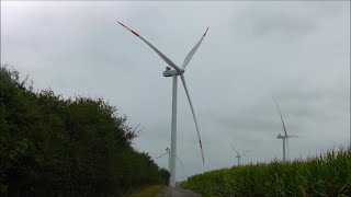 Wind farm Ostenfeld 3 x Vestas V136 wind turbines at 82 m hub height 16092021 [upl. by Zirkle]