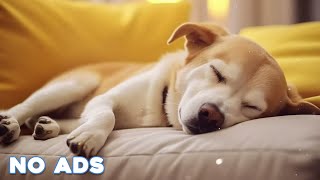 12 Hours Anti Anxiety Music For Dogs 🐶 Stress Relief Music For Dogs ♬ Calming Music For Dogs [upl. by Medwin]