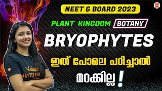 What are Bryophytes amp Mosses  Plant Kingdom Part 2  Plus One Biology  NEET  Vedantu Malayalam [upl. by Groot210]