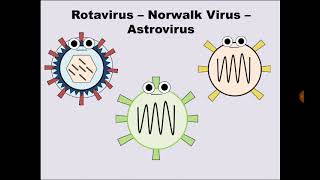 12 Rotavirus Norwalk virus Astrovirus [upl. by Brander]