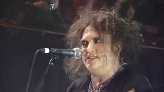 The Cure  Weedy Burton Live Video Multicam [upl. by Teemus258]