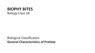 Biology Class 18  General Characteristics of Protista [upl. by Wunder]