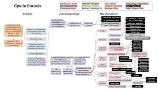 Cystic fibrosis mechanism of disease [upl. by Josias]