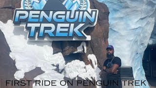 Seaworld orlando vlog 2024 first ride on penguin trek the new BampM family coaster [upl. by Stefanac]