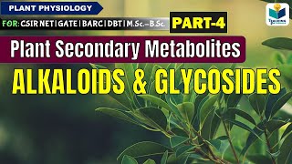 PLANTS SECONDARY METABOLITESPART4 ALKALOIDS AND GLYCOSIDES CSIR NET [upl. by Loring661]